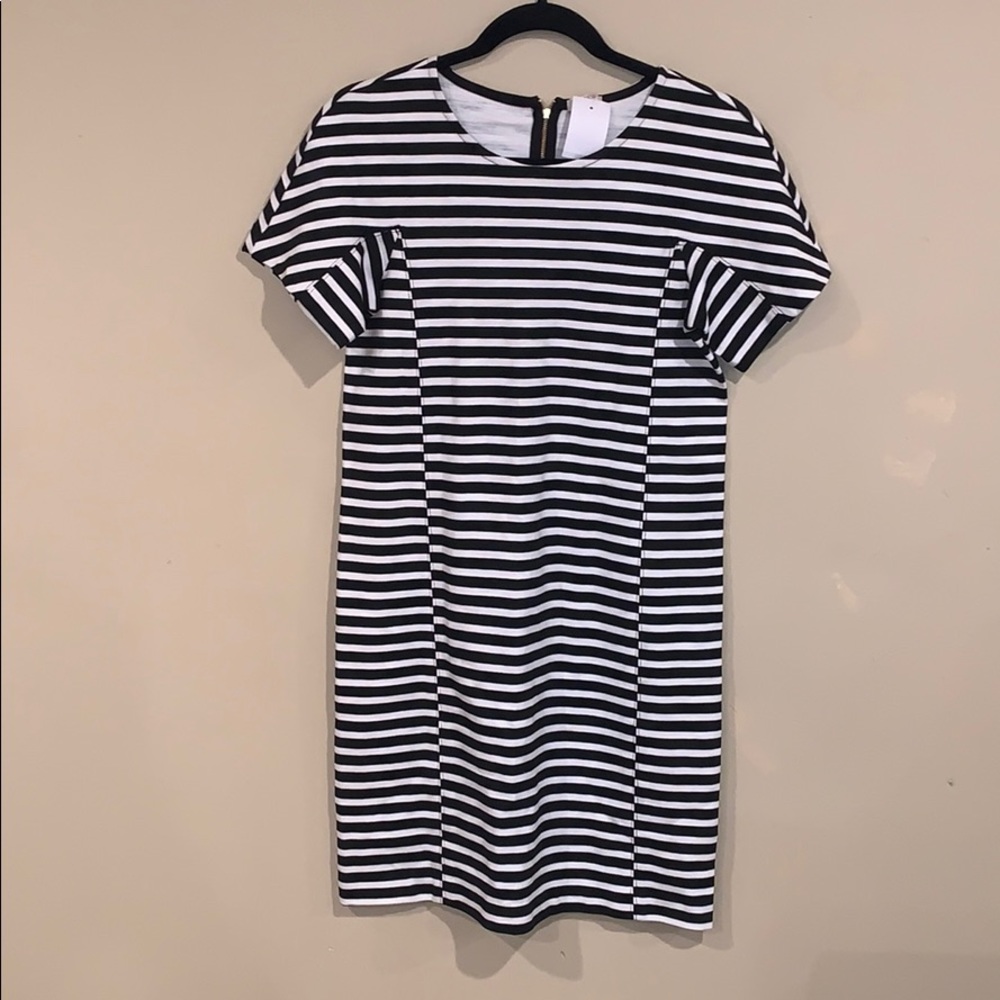 J. Crew Stripped Dress